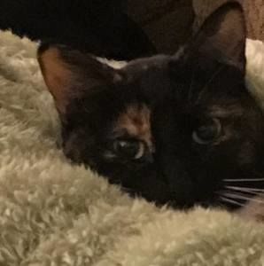 Meet your Posher, Lori